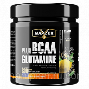 БЦАА BCAA+Glutamine 300g 