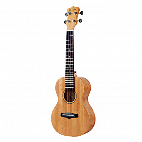 Укулеле (гавайские мини-гитары) Укулеле Enya EUC-25D 