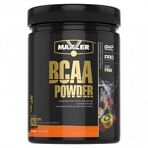 БЦАА BCAA Powder 2:1:1 Sugar Free 420g DE 